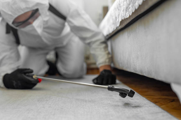 Professional Ant Control technician working in River Hills, WI